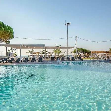 Gmp Oasi Bouka Analipsis (Messinia)